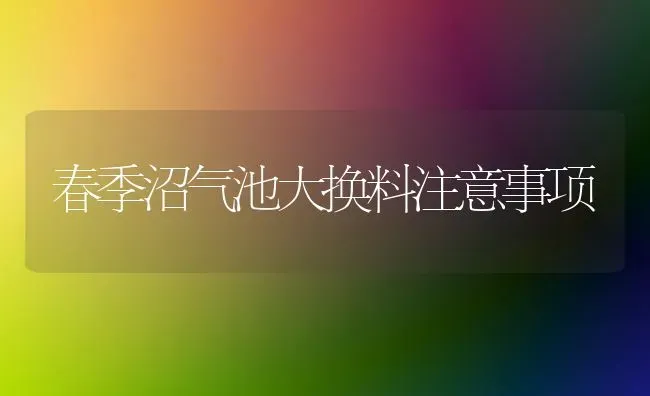 春季沼气池大换料注意事项 | 养殖技术大全