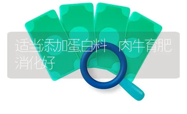 适当添加蛋白料 肉牛育肥消化好 | 养殖知识