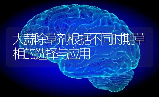 大蒜除草剂根据不同时期草相的选择与应用 | 养殖技术大全