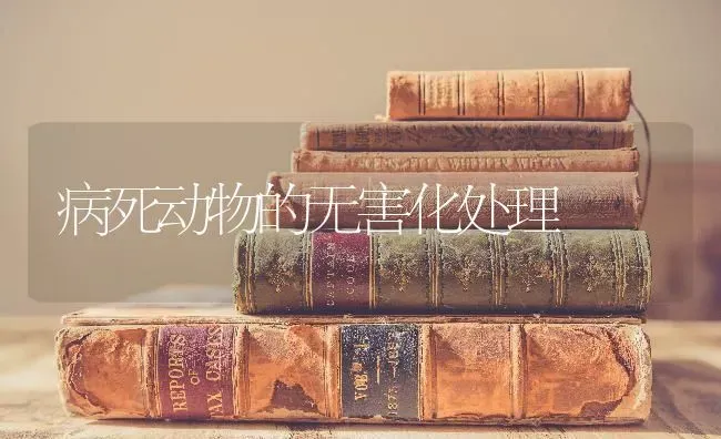 病死动物的无害化处理 | 养殖知识