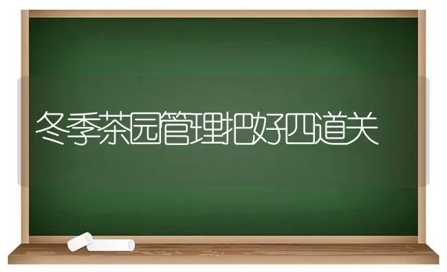 冬季茶园管理把好四道关 | 养殖知识