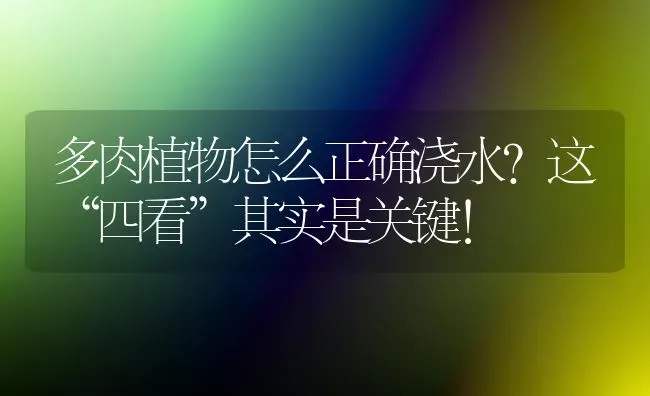 多肉植物怎么正确浇水?这“四看”其实是关键！ | 养殖技术大全