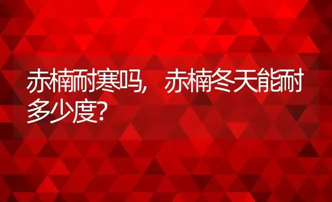 赤楠耐寒吗,赤楠冬天能耐多少度？ | 养殖科普