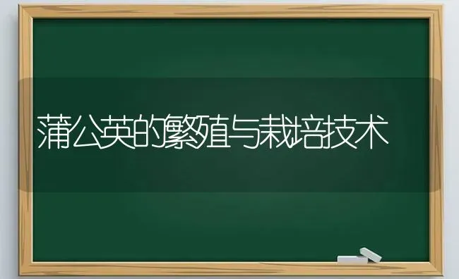 蒲公英的繁殖与栽培技术 | 养殖技术大全