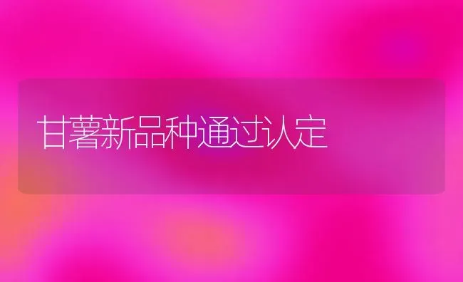 甘薯新品种通过认定 | 养殖技术大全