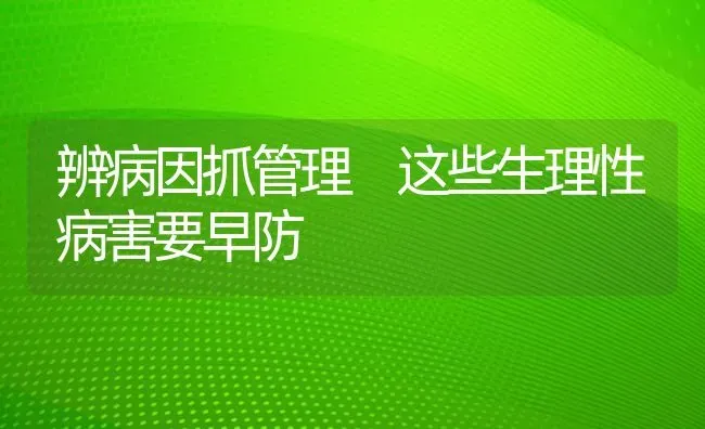 辨病因抓管理 这些生理性病害要早防 | 养殖技术大全