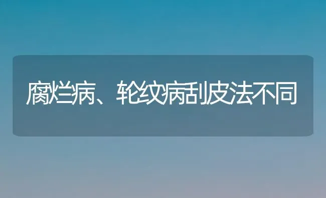 腐烂病、轮纹病刮皮法不同 | 养殖技术大全