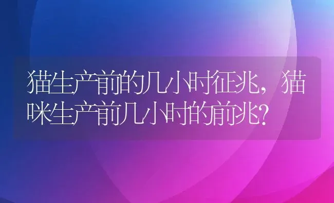 猪布氏杆菌病的传染途径及防治,公猪的布鲁氏杆菌怎样防控 | 养殖学堂