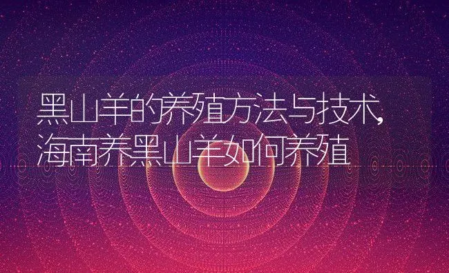 黑山羊的养殖方法与技术,海南养黑山羊如何养殖 | 养殖学堂