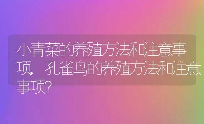 小青菜的养殖方法和注意事项,孔雀鸟的养殖方法和注意事项？ | 养殖科普