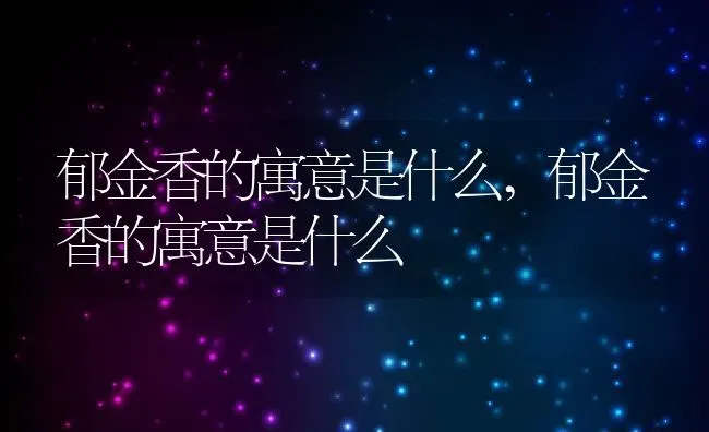 郁金香的寓意是什么,郁金香的寓意是什么 | 养殖科普