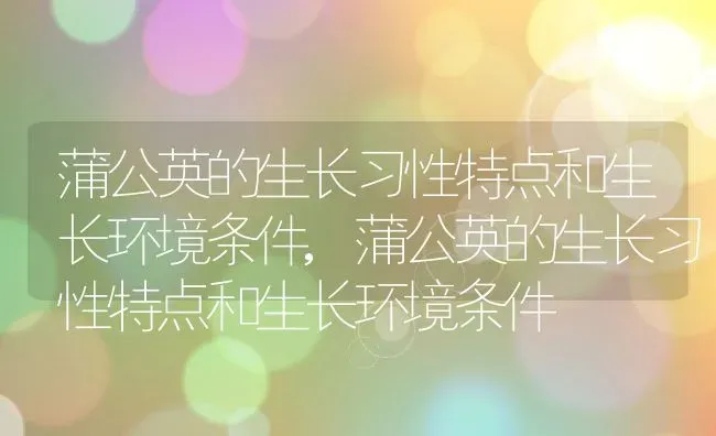 蒲公英的生长习性特点和生长环境条件,蒲公英的生长习性特点和生长环境条件 | 养殖科普