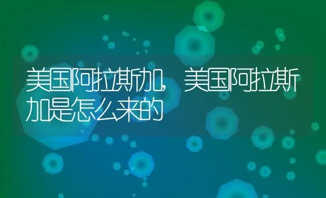 美国阿拉斯加,美国阿拉斯加是怎么来的 | 养殖科普