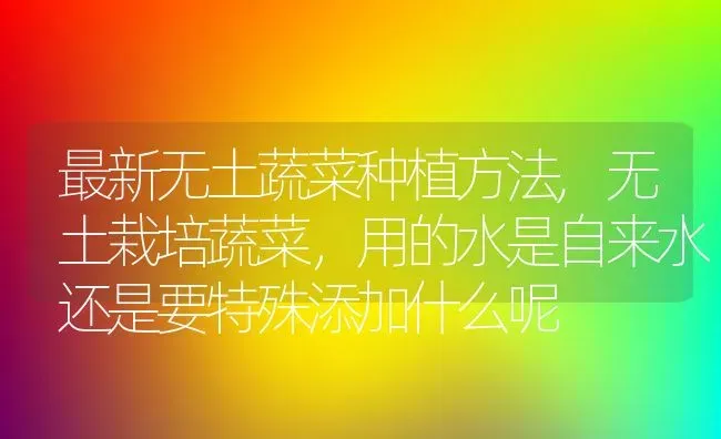 最新无土蔬菜种植方法,无土栽培蔬菜，用的水是自来水还是要特殊添加什么呢 | 养殖学堂