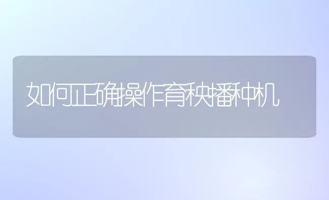 如何正确操作育秧播种机 | 养殖技术大全