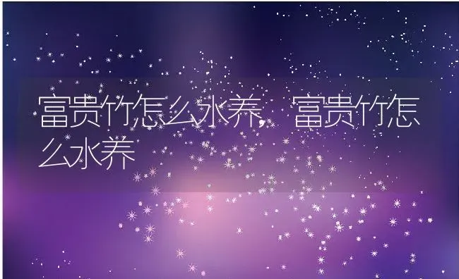 富贵竹怎么水养,富贵竹怎么水养 | 养殖学堂