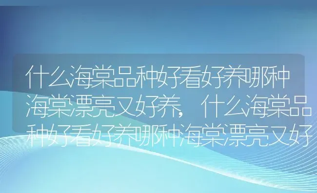 什么海棠品种好看好养哪种海棠漂亮又好养,什么海棠品种好看好养哪种海棠漂亮又好养 | 养殖科普