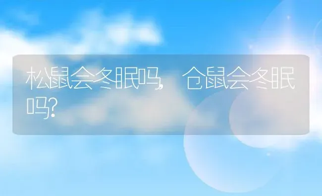 松鼠会冬眠吗,仓鼠会冬眠吗? | 养殖资料