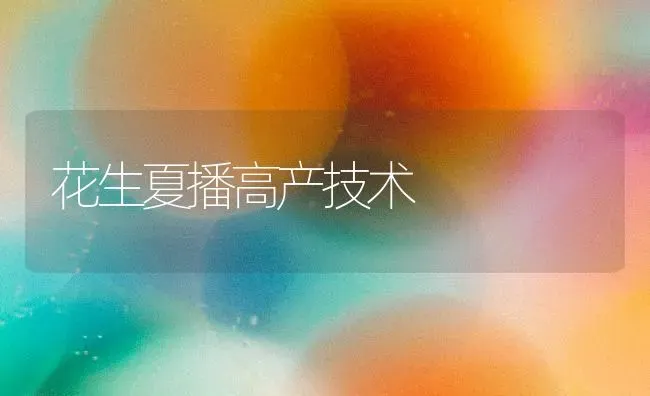 花生夏播高产技术 | 养殖技术大全