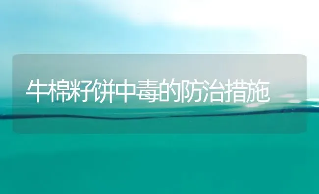 牛棉籽饼中毒的防治措施 | 养殖技术大全