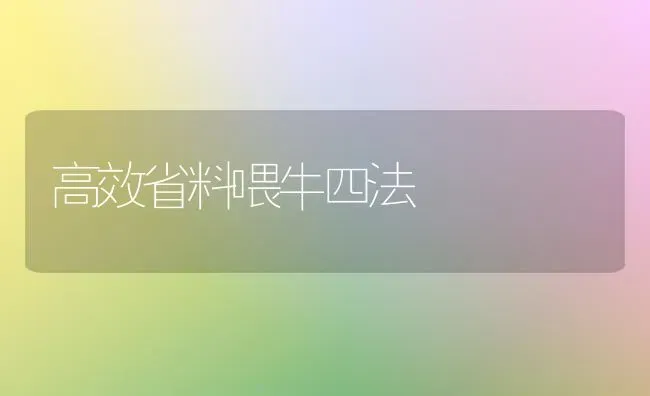 高效省料喂牛四法 | 养殖技术大全