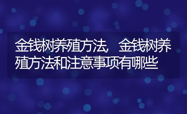 金钱树养殖方法,金钱树养殖方法和注意事项有哪些 | 养殖资料