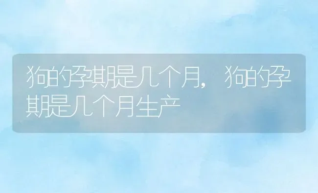 狗的孕期是几个月,狗的孕期是几个月生产 | 养殖科普