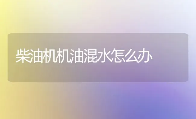 柴油机机油混水怎么办 | 养殖知识