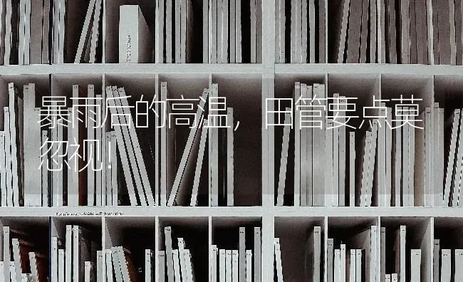 暴雨后的高温,田管要点莫忽视！ | 养殖技术大全