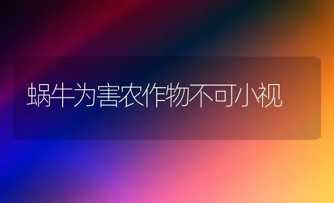 蜗牛为害农作物不可小视 | 养殖技术大全