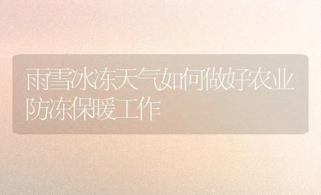 雨雪冰冻天气如何做好农业防冻保暖工作 | 养殖知识