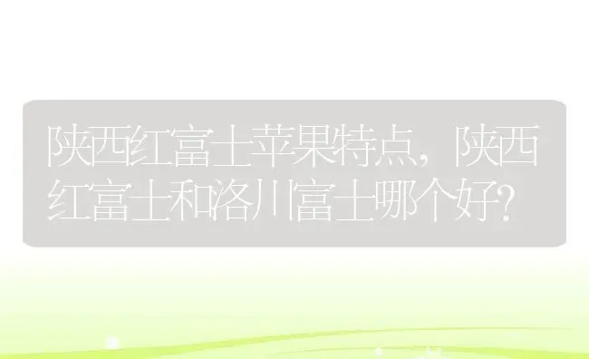 陕西红富士苹果特点,陕西红富士和洛川富士哪个好？ | 养殖科普