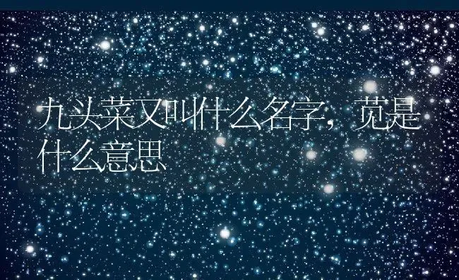 九头菜又叫什么名字,苋是什么意思 | 养殖科普