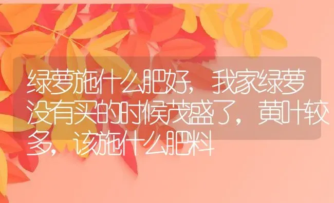 绿萝施什么肥好,我家绿萝没有买的时候茂盛了，黄叶较多，该施什么肥料 | 养殖学堂