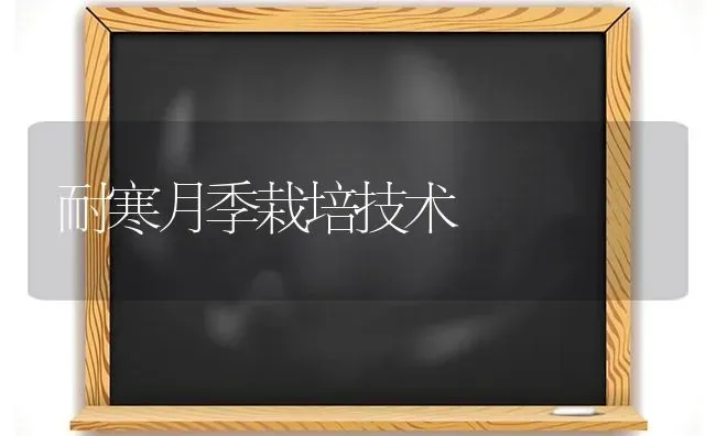 耐寒月季栽培技术 | 养殖知识