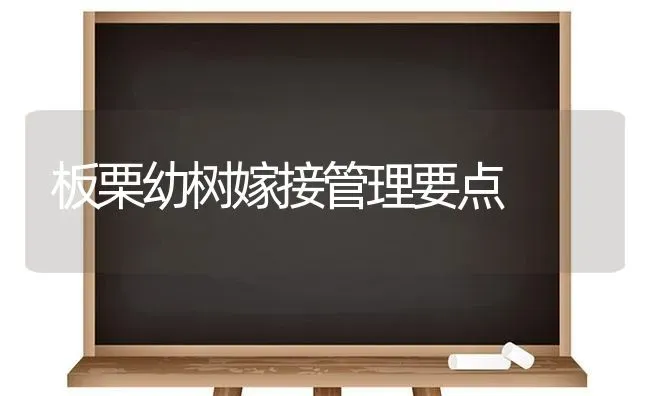 板栗幼树嫁接管理要点 | 养殖技术大全