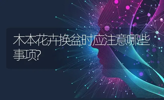 木本花卉换盆时应注意哪些事项? | 养殖知识