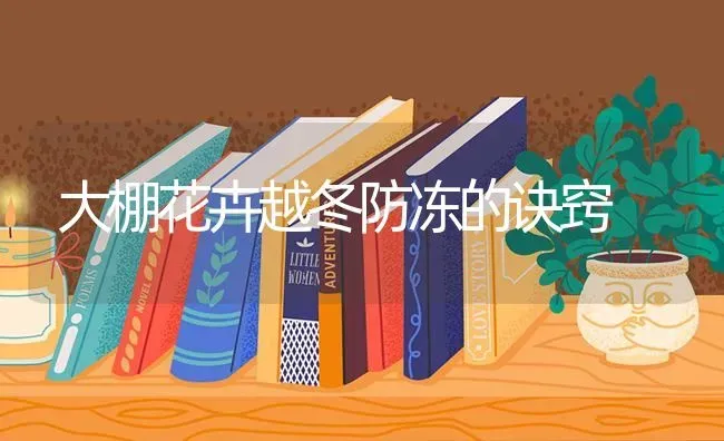 大棚花卉越冬防冻的诀窍 | 养殖技术大全