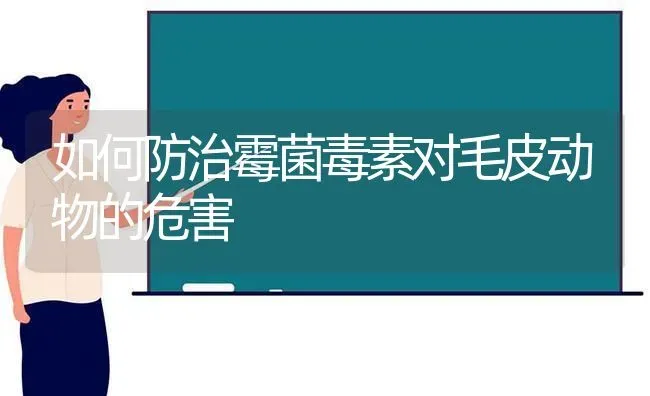 如何防治霉菌毒素对毛皮动物的危害 | 养殖技术大全