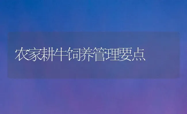 农家耕牛饲养管理要点 | 养殖知识