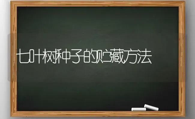 七叶树种子的贮藏方法 | 养殖技术大全