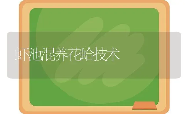 虾池混养花蛤技术 | 养殖知识