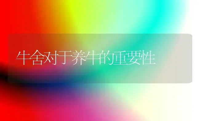 牛舍对于养牛的重要性 | 养殖技术大全