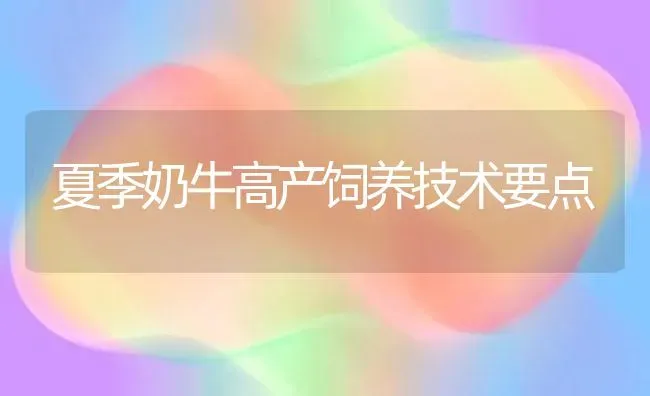 夏季奶牛高产饲养技术要点 | 养殖知识
