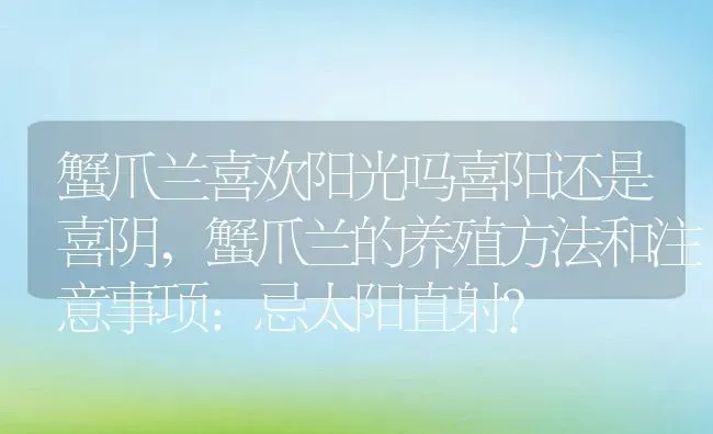 蟹爪兰喜欢阳光吗喜阳还是喜阴,蟹爪兰的养殖方法和注意事项:忌太阳直射？ | 养殖科普