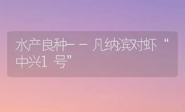 水产良种--凡纳滨对虾“中兴1号” | 养殖知识