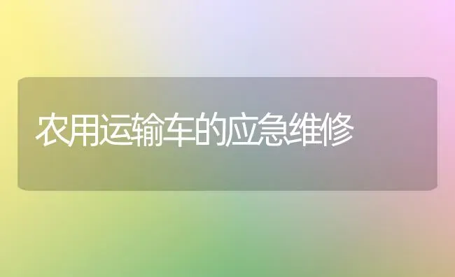 农用运输车的应急维修 | 养殖知识