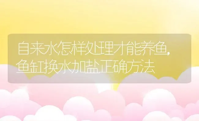 自来水怎样处理才能养鱼,鱼缸换水加盐正确方法 | 养殖资料