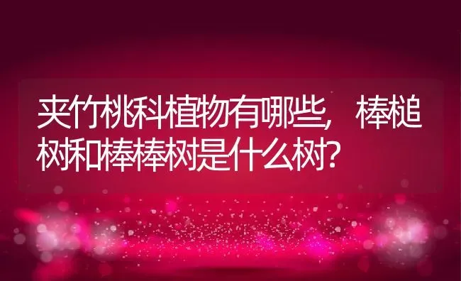 夹竹桃科植物有哪些,棒槌树和棒棒树是什么树？ | 养殖学堂