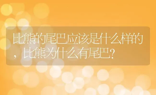 比熊的尾巴应该是什么样的,比熊为什么有尾巴？ | 养殖学堂
